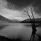 Moody Derwent